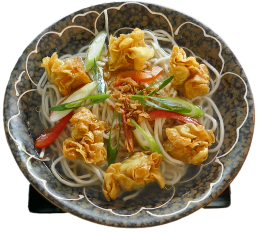 Udon Nudeln Suppe